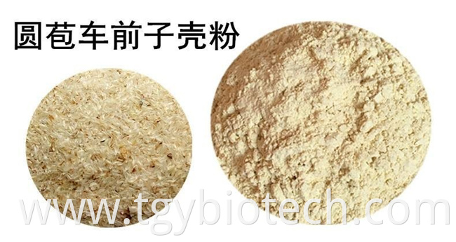 Psyllium husk powder